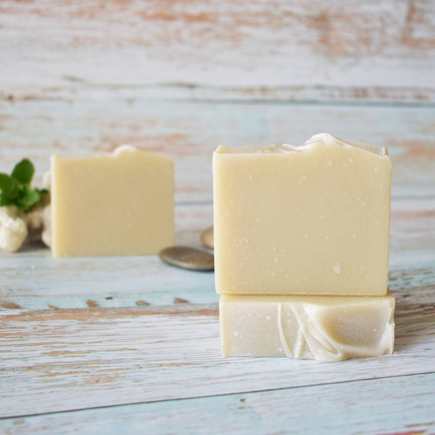 Two beige soaps in forefront on a weathered light blue wood background. Blurred in the background is another rectangular beige soap, two small river stones and white coral with greenery